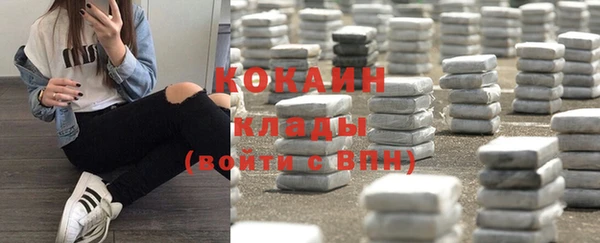 кокс Дмитриев