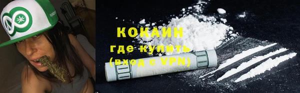 кокс Дмитриев