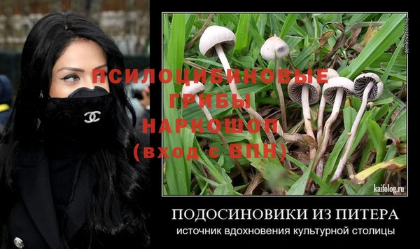 меф Дмитров