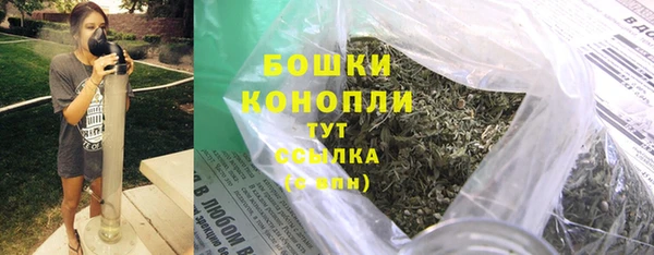 кокс Дмитриев